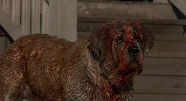 Cujo Безумие в трейлере «Стая»