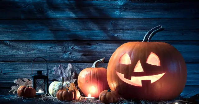 [Fantasia '15] Клип 'Tales of Halloween' разоблачили из-за розыгрыша
