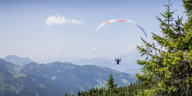 Life' вылетает на домашнее видео