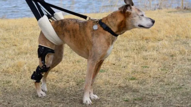 Какие бывают типы аудиовизуальных средств?