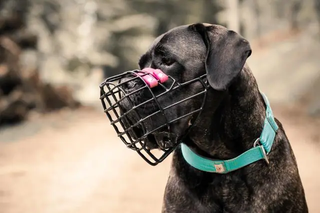 Каковы правила Театрального спорта?