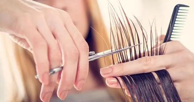 Как мне начать карьеру дизайнера?