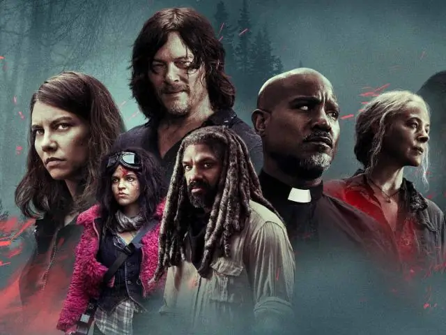 Сколько сезонов в ДБЗ?