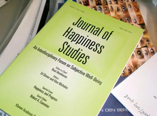 Почему фильм называется «Погоня за счастьем»?