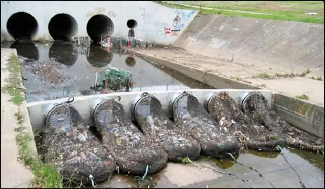 Чем заняться в ночь на Хэллоуин в Лос-Анджелесе?