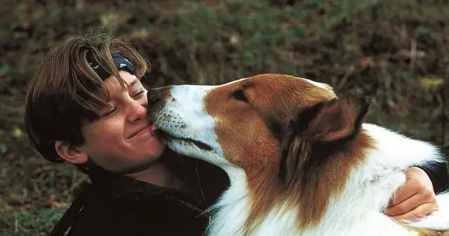 Кто отец Брока Тернера?