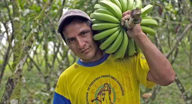 Как звали постоянную резервную группу Motown?