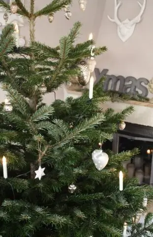 Сколько стоит настоящая маленькая елочка?