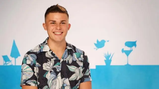 Какой была первая серия Бивиса и Баттхеда?