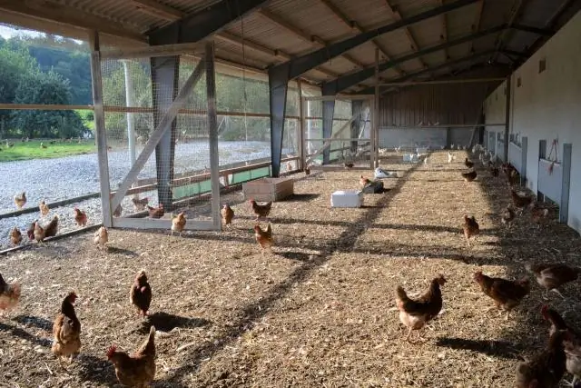 Что значит сохранять спокойствие на луке?