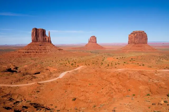 У Фило есть произвольная форма?