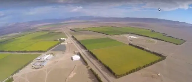 Каковы 12 компонентов «Грязной дюжины»?