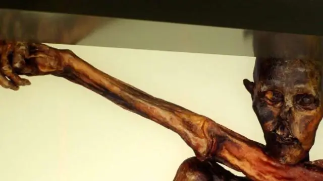 Сколько лет Морвенне?