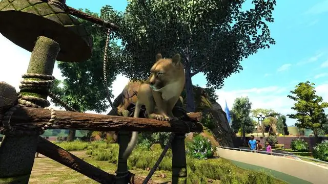Сможете ли вы по-прежнему играть в Zoo Tycoon?