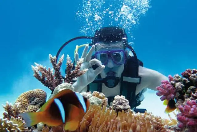 В чем разница между статическим и динамическим балансом?