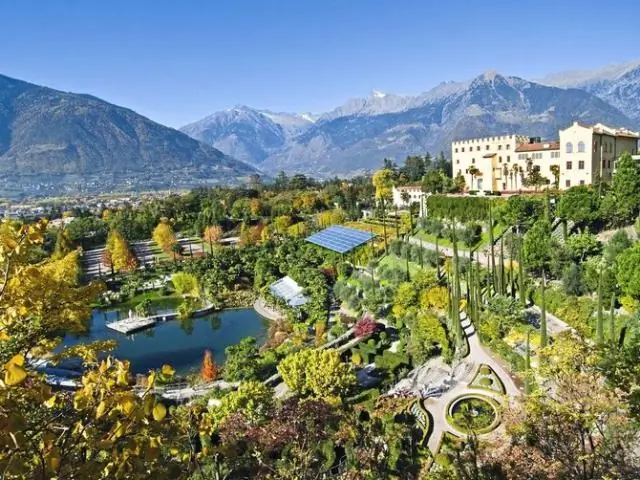 Какой высокий балл в тетрисе?