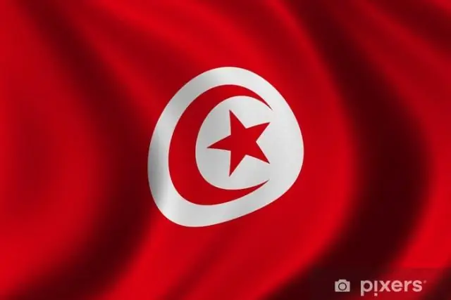 Когда впервые был использован Органум?