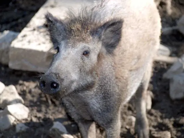 Какие есть 8 методов тренировок?