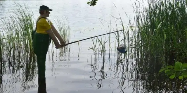 Какова тема рассказа "Незабываемая прогулка"?