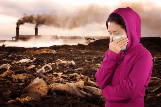 Какое настроение растворилось в воздухе?