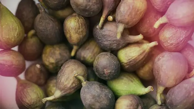 Полезен ли свежий инжир?