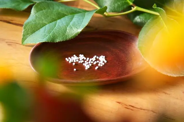 Что значит литературный прием?