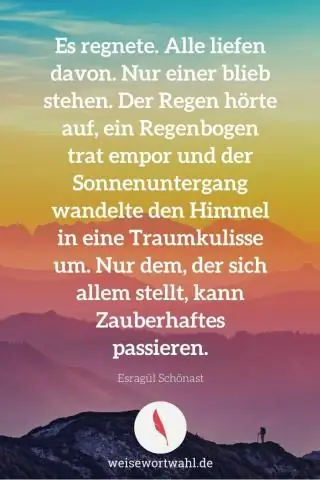 Почему «водоплавающим птицам» - романтическое стихотворение?