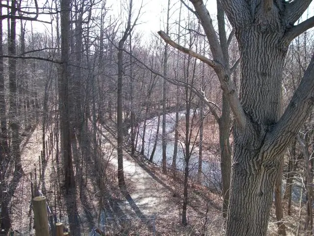 Чем известен университет Фэрли Дикинсона?