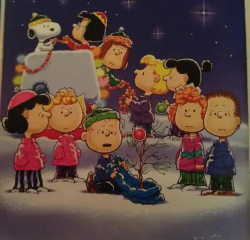 Что нравится Салли Браун?