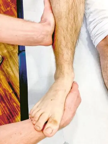 Что такое классификация и примеры?