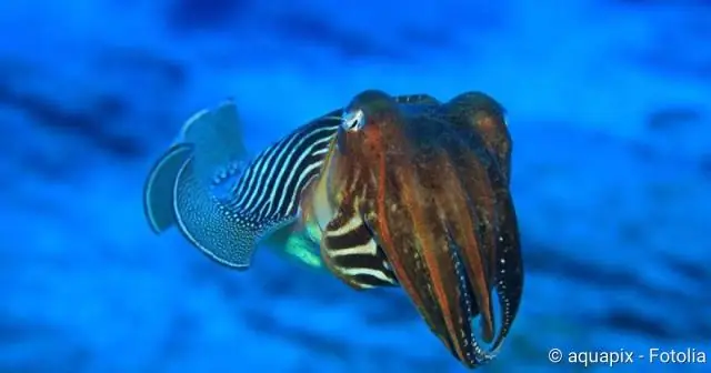 Какой жанр - After ever after?