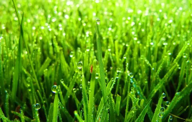 На чем была основана буря?