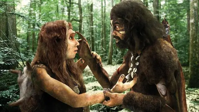 Когда было написано исследование?