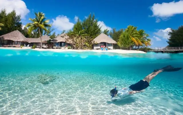 Что за человек Сидней Картон?