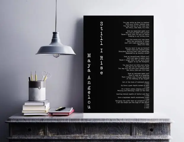 Что такое тон Майи Анджелоу в «Все еще я встаю»?