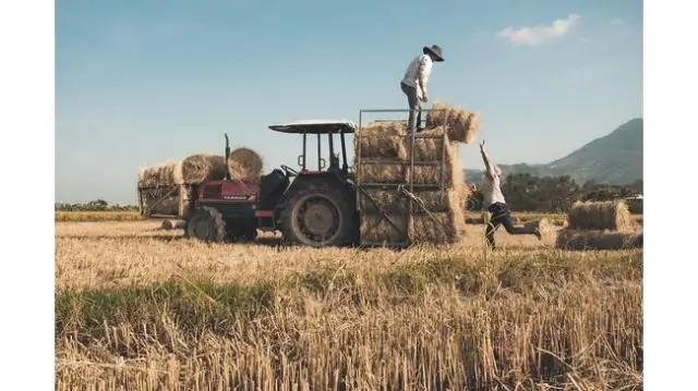 Что делает хороший повествовательный абзац?