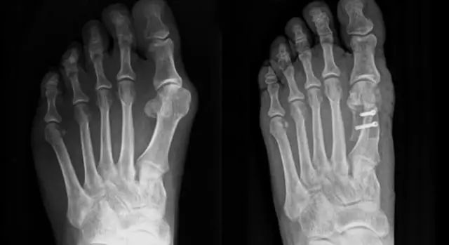 Какое настроение создается у алого ибиса в начале?