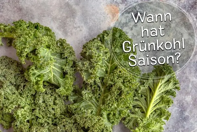 Когда я могу собирать чернику?