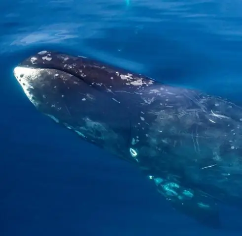 Как узнать, имеет ли исследование внешнюю валидность?