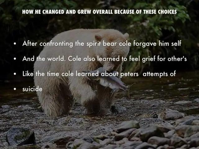 Что такое AT Oow в Touching Spirit Bear?