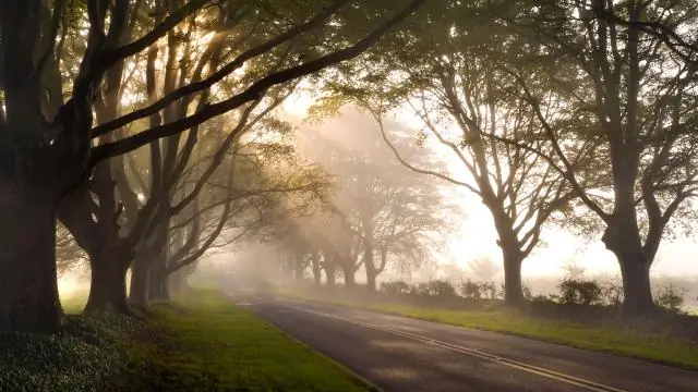 Бесплатно ли Kingston Lacy для членов Национального фонда?