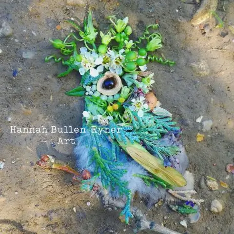 Что есть аспект природы?