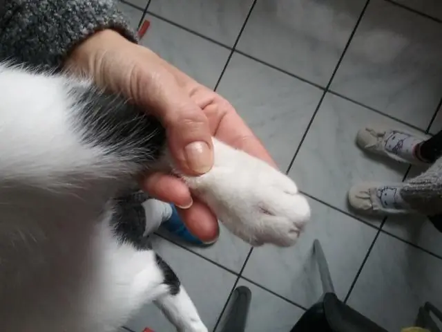 Может ли кто-нибудь увидеть мой iCloud?