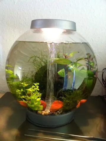 Как использовать отладчик Grok?