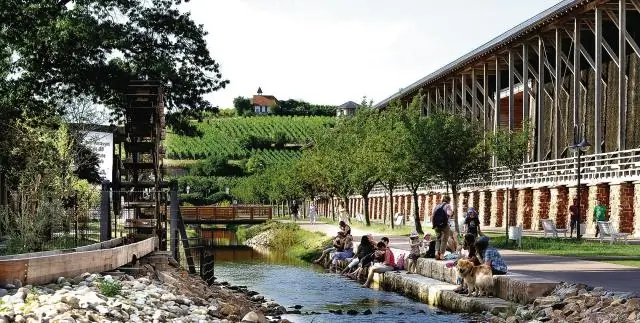 Что такое тотемизм по Дюркгейму?