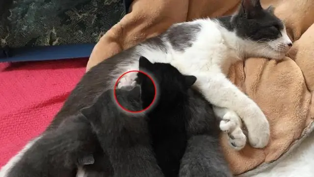 Что делает гранж уникальным?