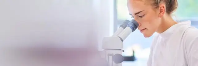 Что такое дизайн количественного исследования?