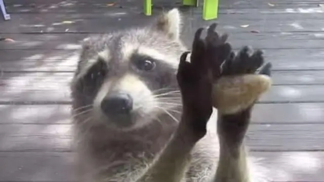 Что делает вопрос исследования интересным?