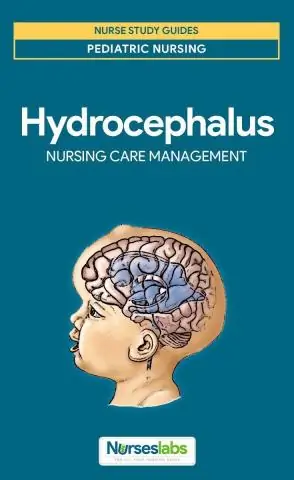 Как мне связаться с Советом медсестер Флориды?