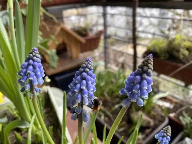 Хорошо ли быть обычным?